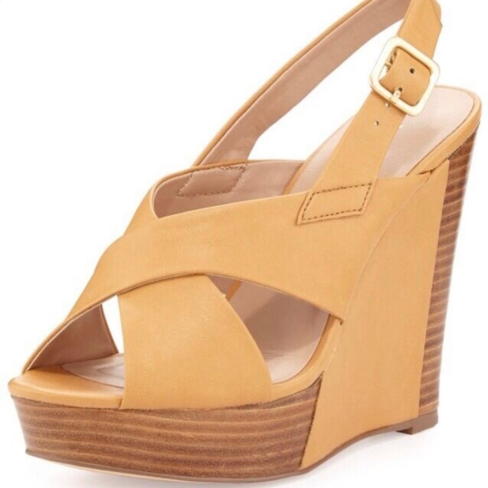 Charles David Leather Platform Wedge Sandals